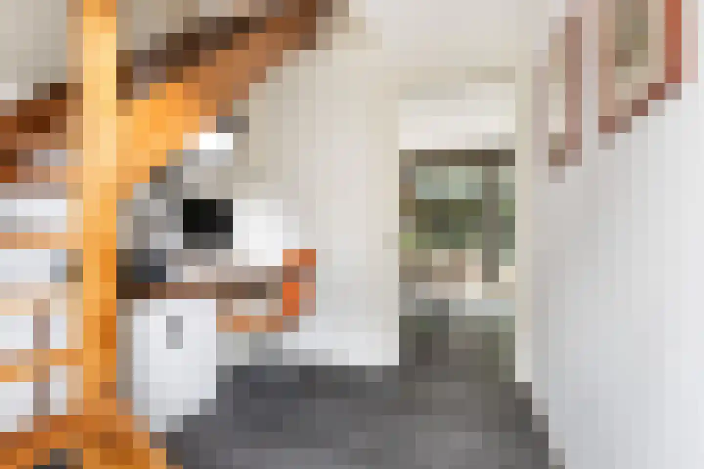 Enghlaan 24 Vleuten thumbnail 45