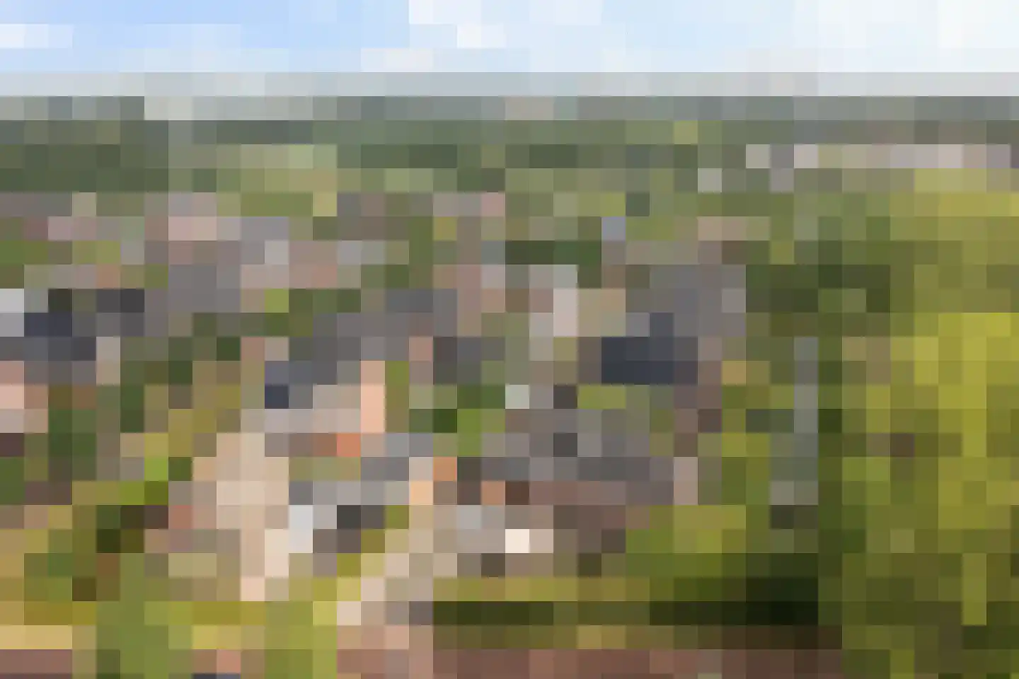 Enghlaan 24 Vleuten thumbnail 71
