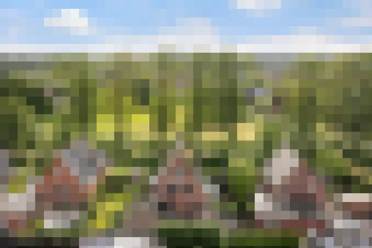 Enghlaan 24 Vleuten thumbnail 72