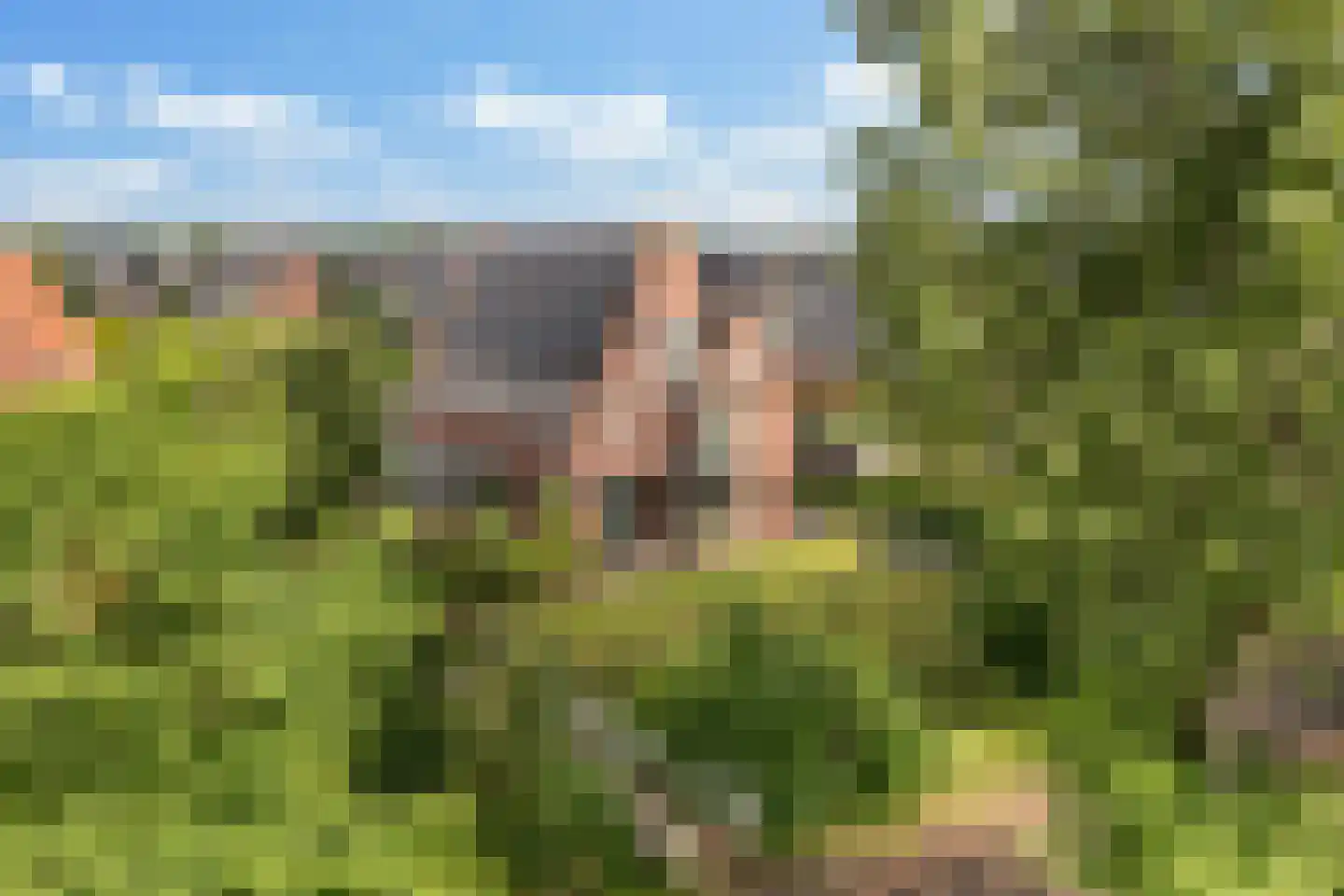 Enghlaan 24 Vleuten thumbnail 73