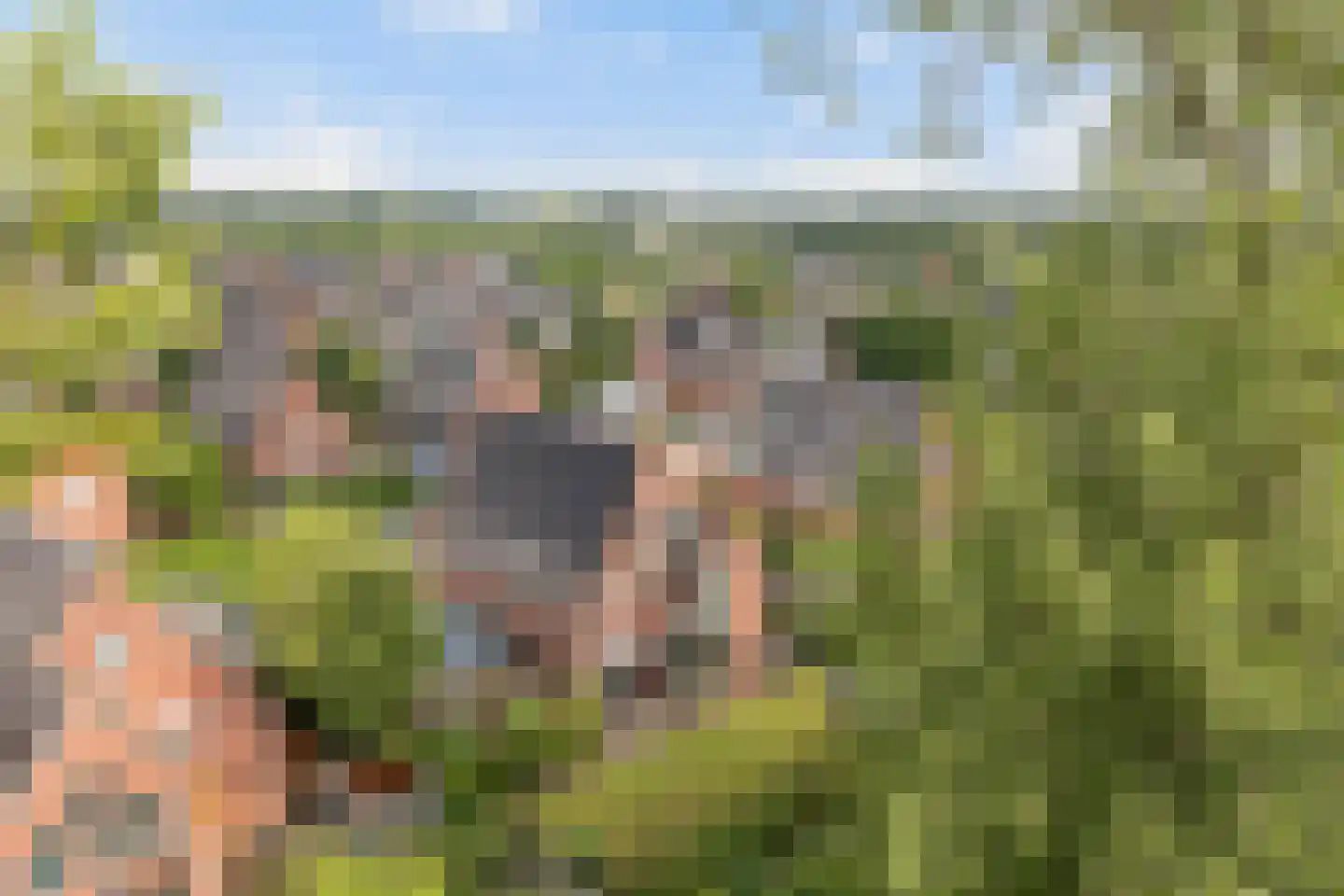 Enghlaan 24 Vleuten thumbnail 74