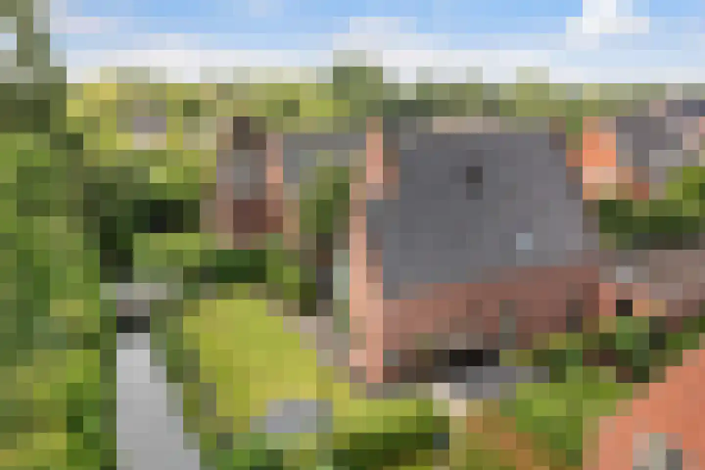 Enghlaan 24 Vleuten thumbnail 76