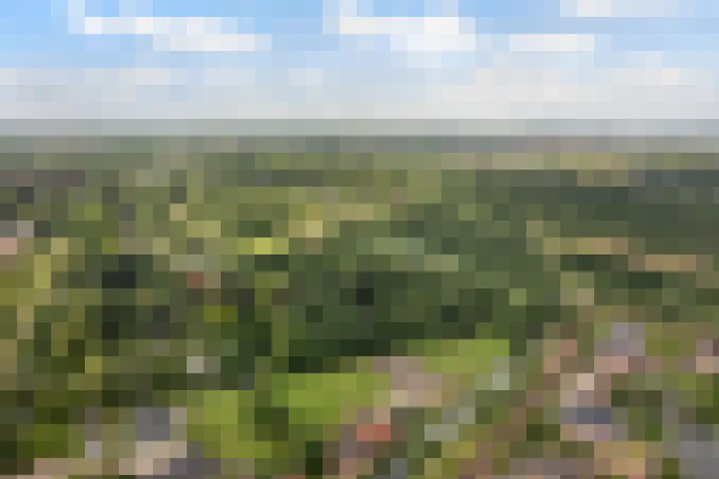 Enghlaan 24 Vleuten thumbnail 77