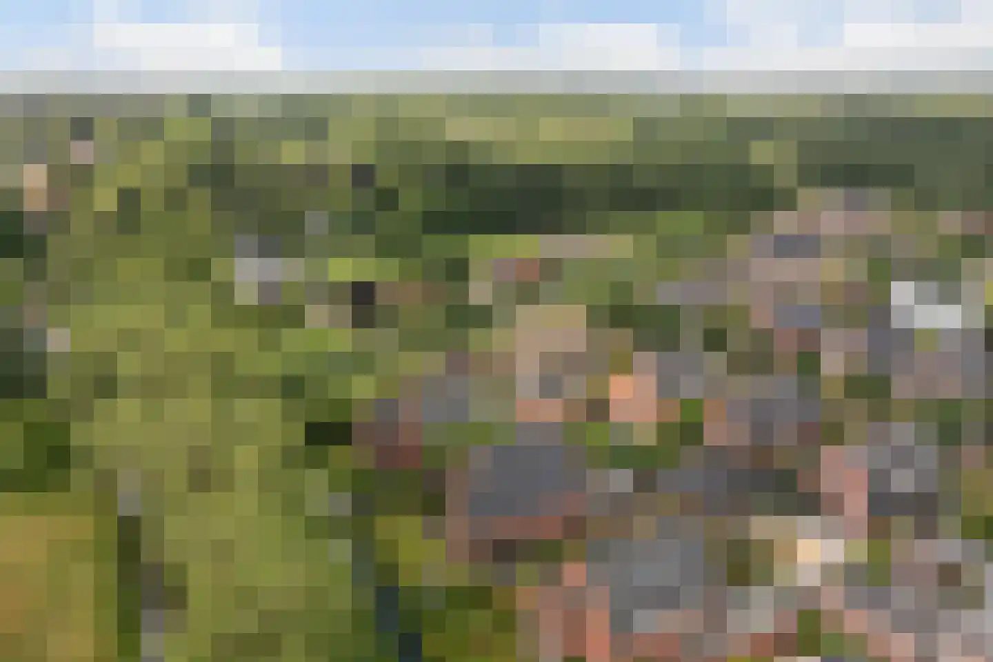 Enghlaan 24 Vleuten thumbnail 78