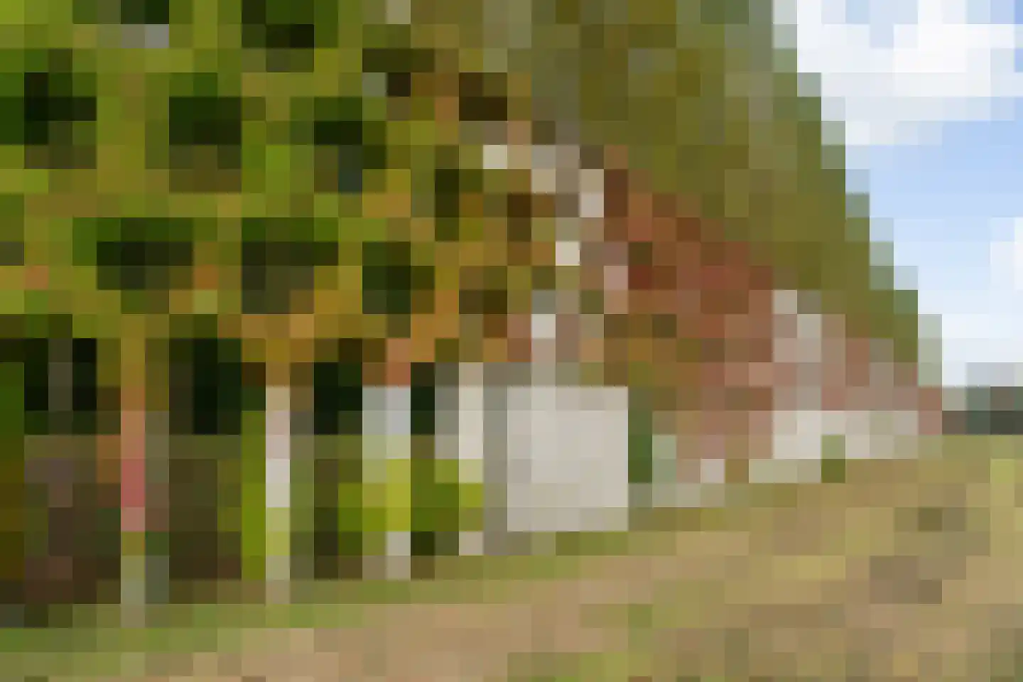 Enghlaan 24 Vleuten thumbnail 79