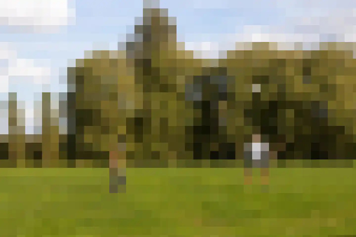 Enghlaan 24 Vleuten thumbnail 84