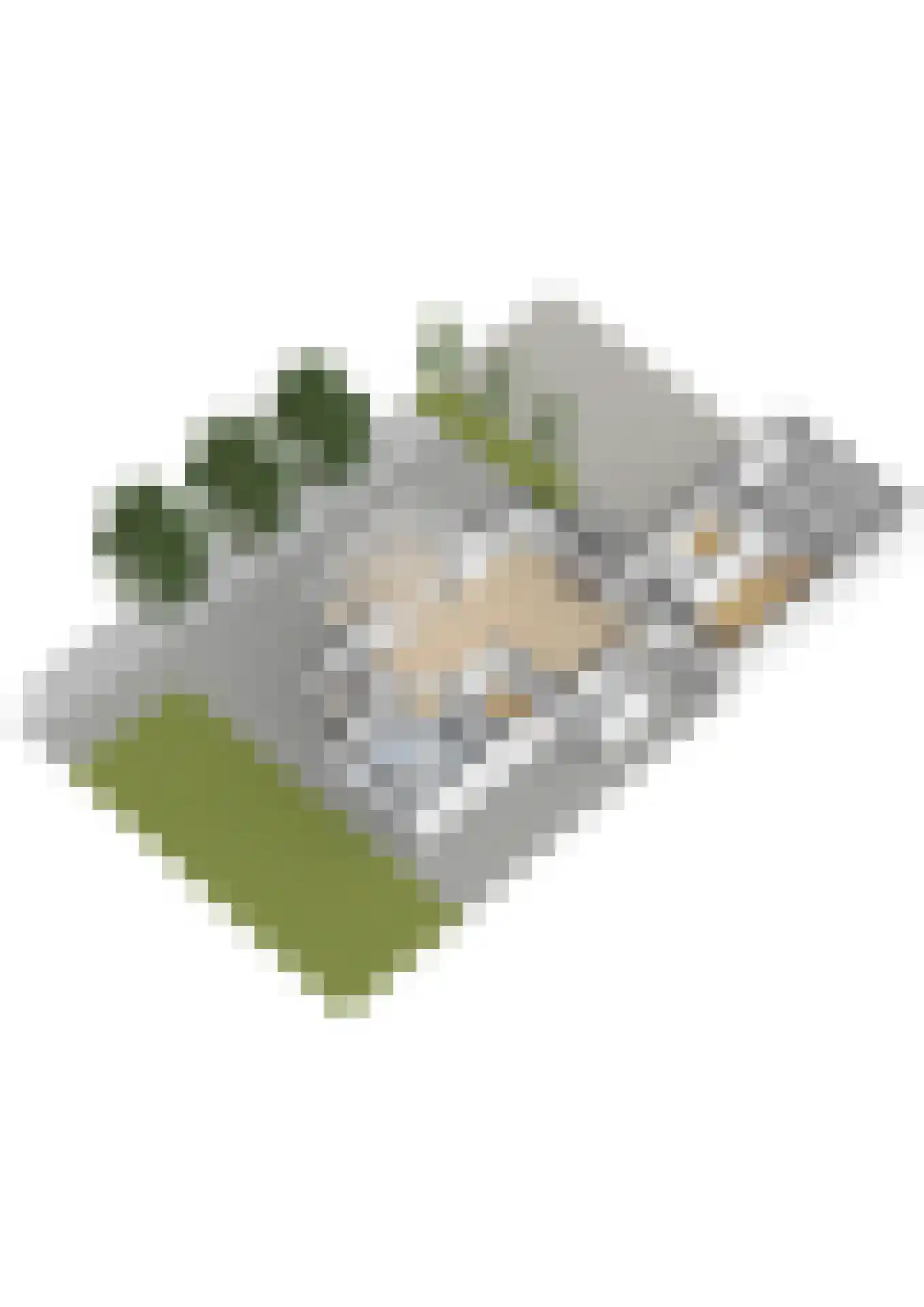 Enghlaan 24 Vleuten thumbnail 97