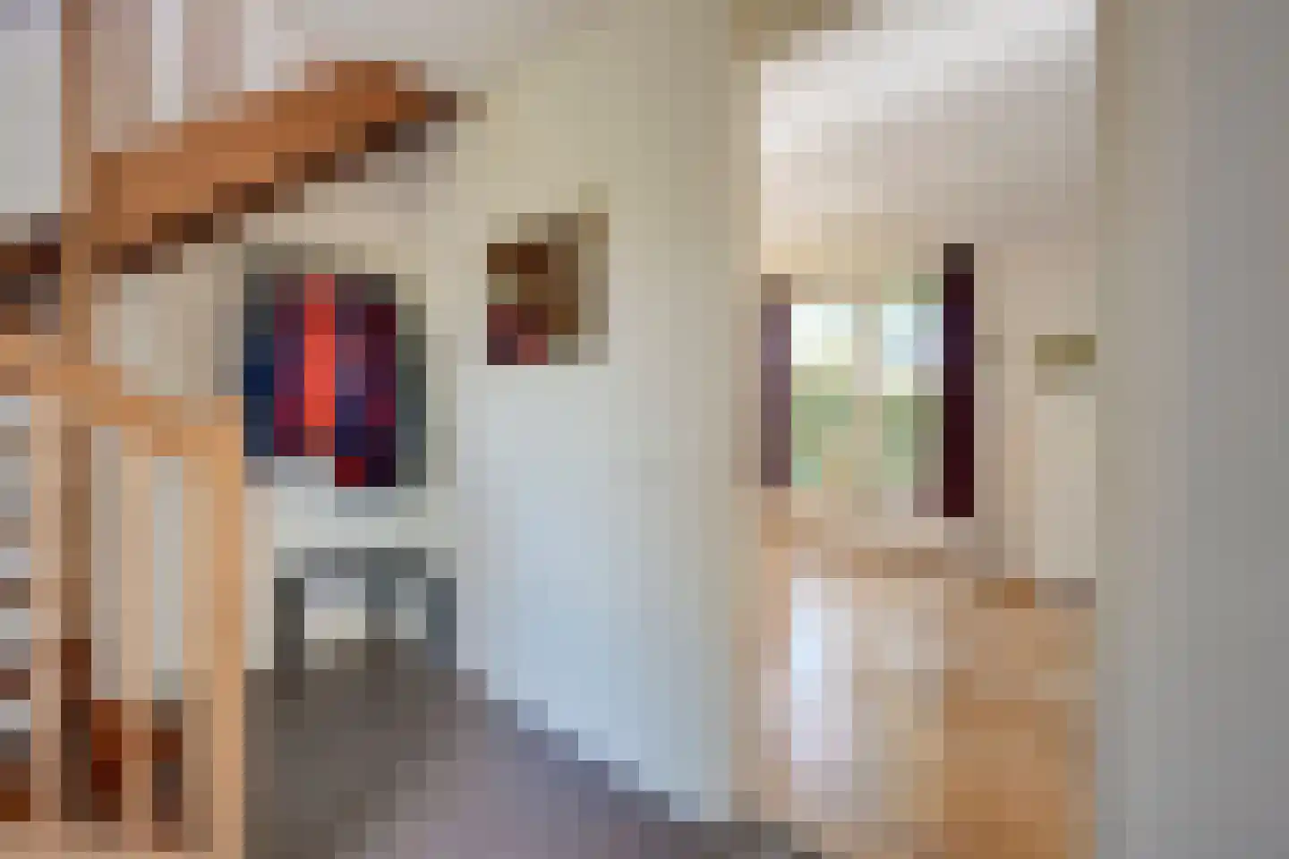 Enghlaan 32 Vleuten thumbnail 39