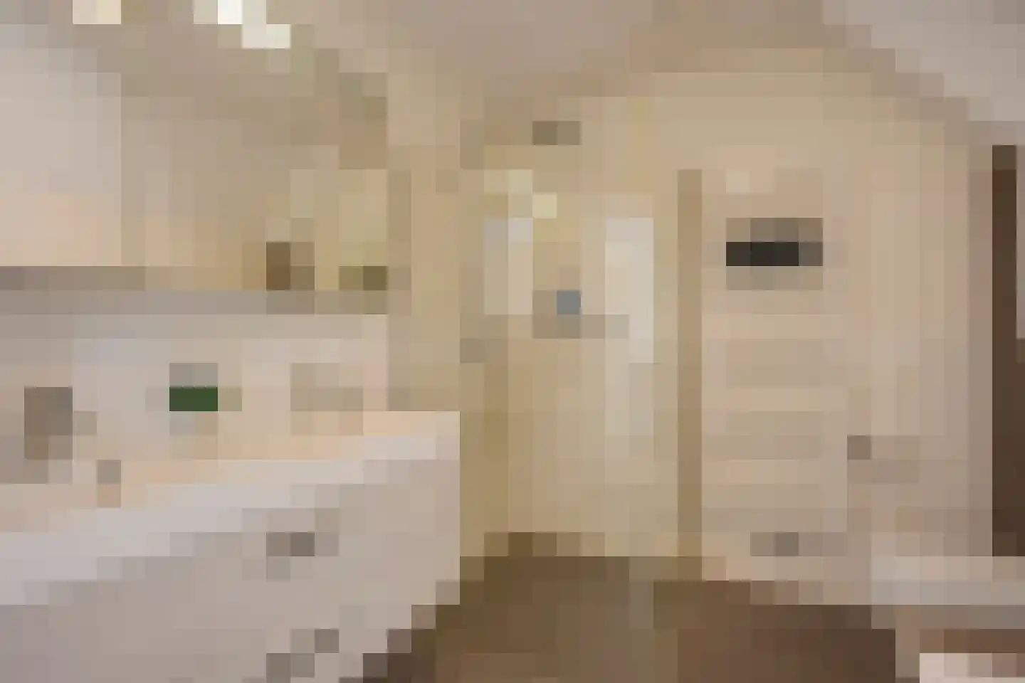 Enghlaan 32 Vleuten thumbnail 52