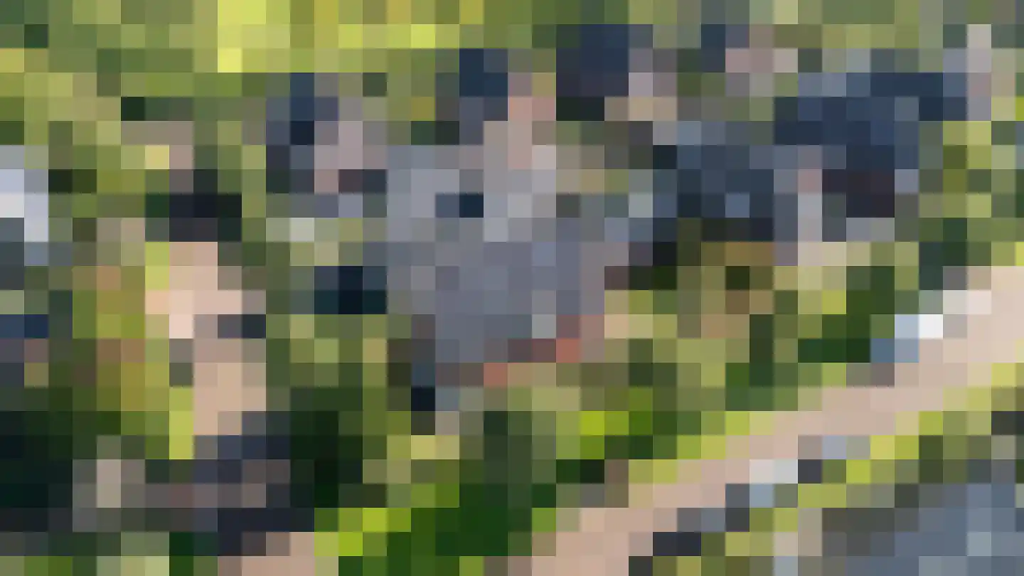 Enghlaan 32 Vleuten thumbnail 62