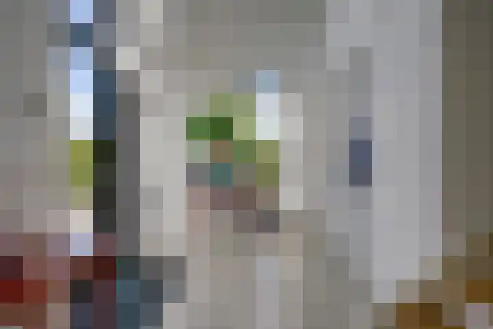 Enghlaan 39 Vleuten thumbnail 10