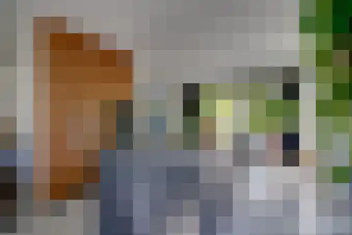 Enghlaan 39 Vleuten thumbnail 18