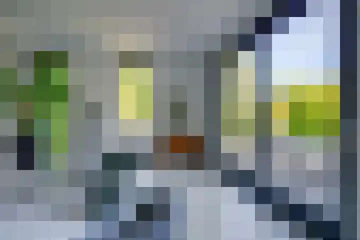Enghlaan 39 Vleuten thumbnail 28