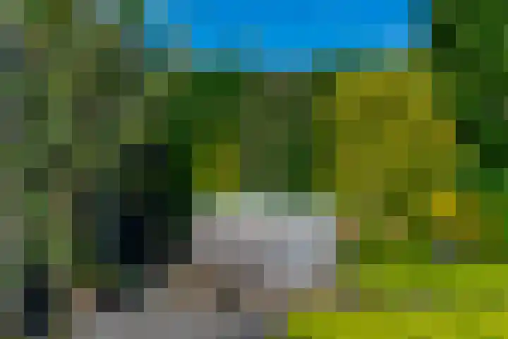 Enghlaan 39 Vleuten thumbnail 35