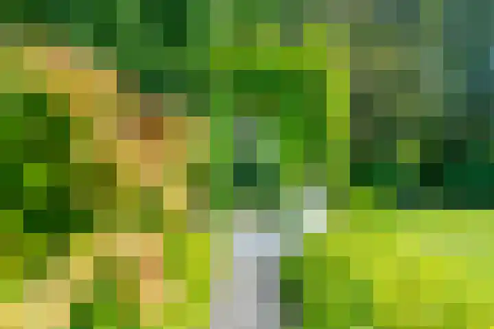 Enghlaan 39 Vleuten thumbnail 37