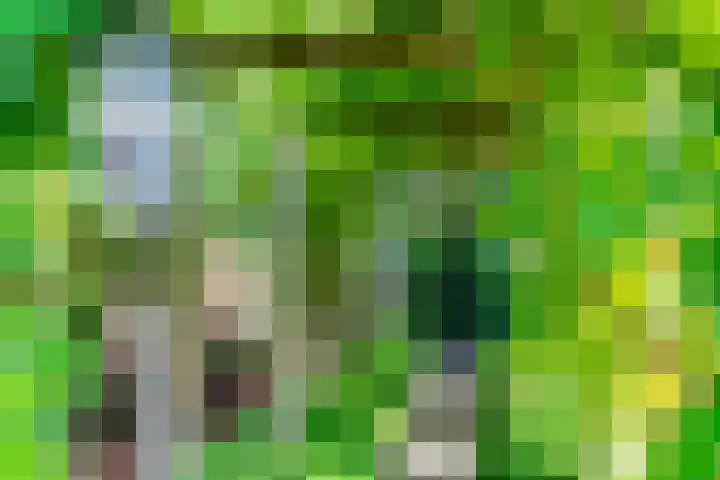 Enghlaan 39 Vleuten thumbnail 38
