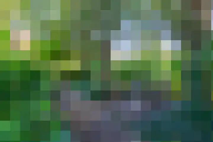 Enghlaan 39 Vleuten thumbnail 40