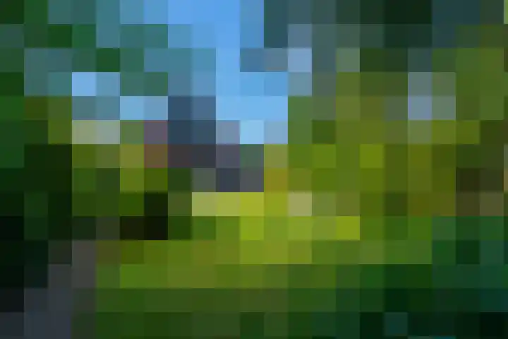 Enghlaan 39 Vleuten thumbnail 41