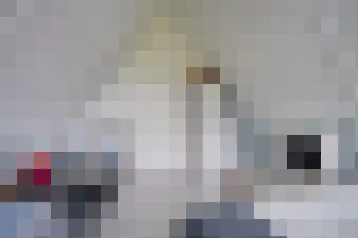 Enghlaan 39 Vleuten thumbnail 69