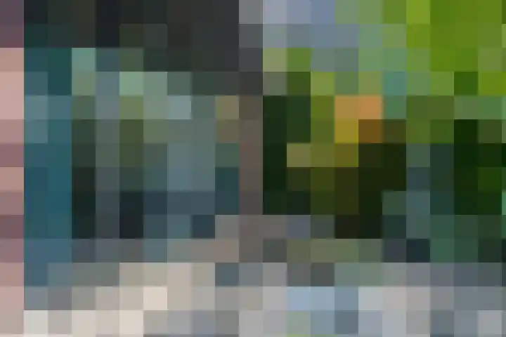 Enghlaan 39 Vleuten thumbnail 77