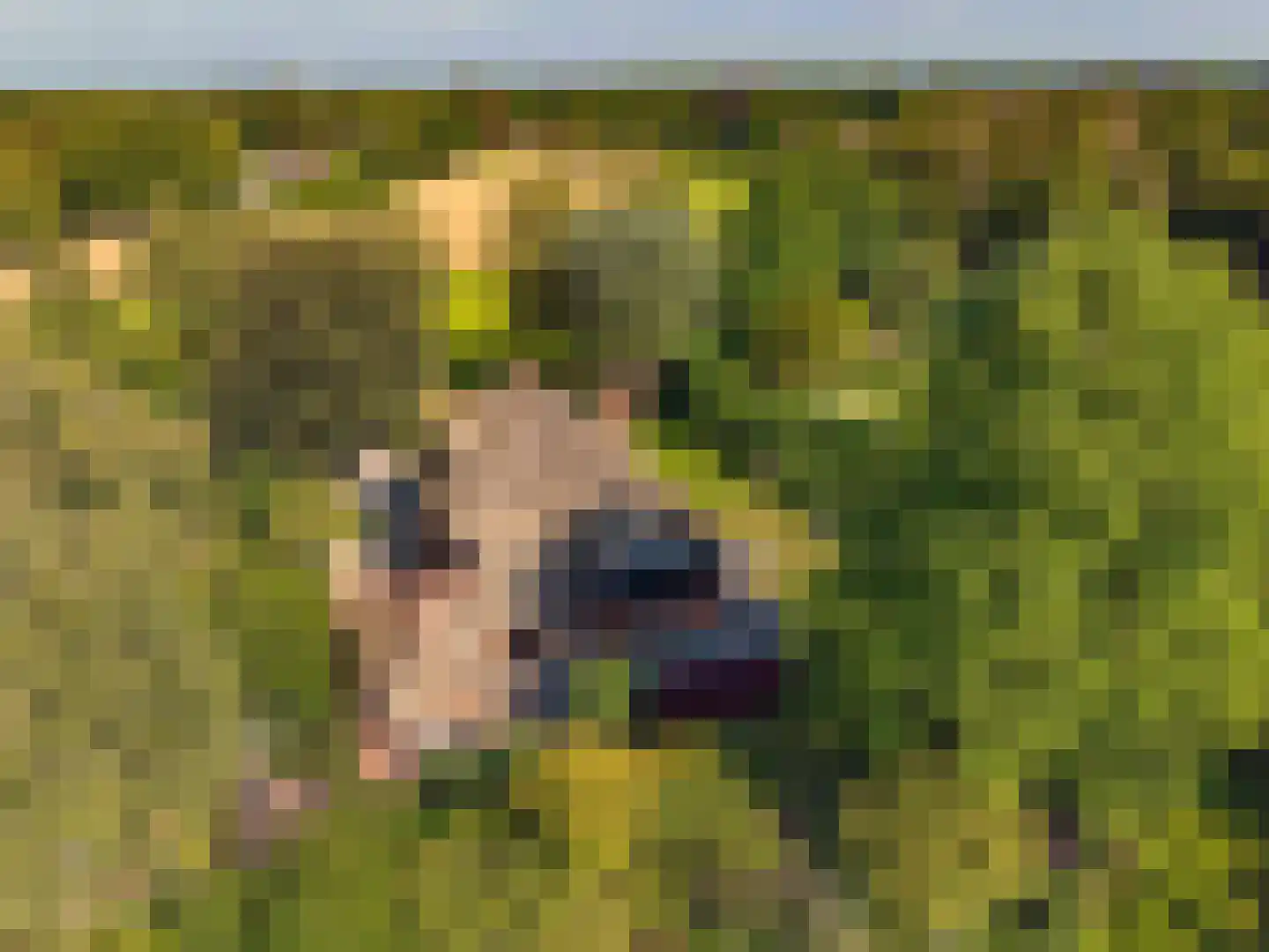 Enghlaan 6 Blaricum thumbnail 30