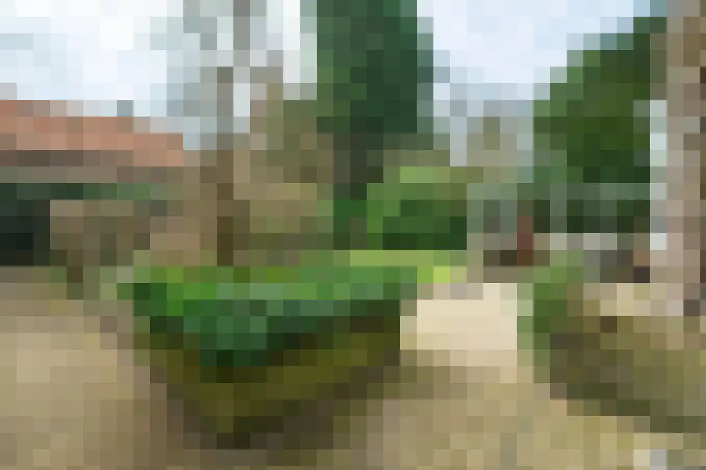 Englaan 16 Wageningen thumbnail 28