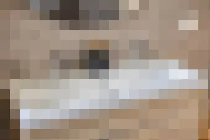 Engstraat 15 Lithoijen thumbnail 31