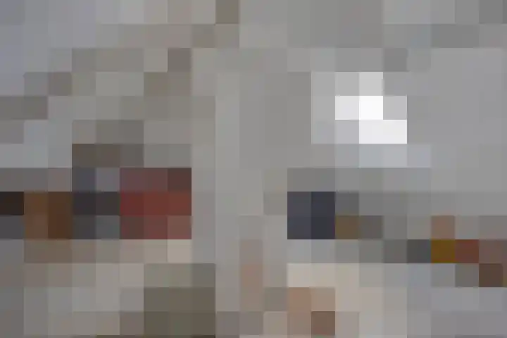 Engstraat 15 Lithoijen thumbnail 33