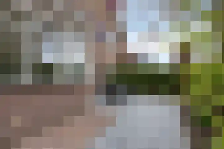 Engstraat 15 Lithoijen thumbnail 34