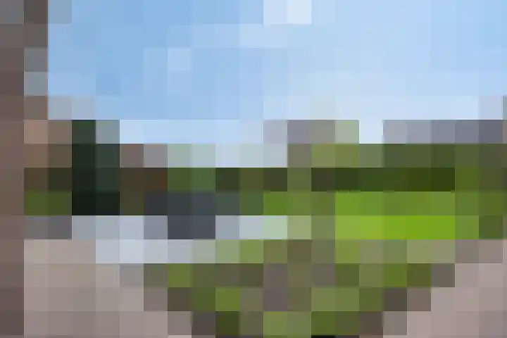 Engstraat 15 Lithoijen thumbnail 36