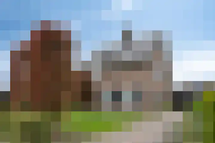 Engstraat 15 Lithoijen thumbnail 40