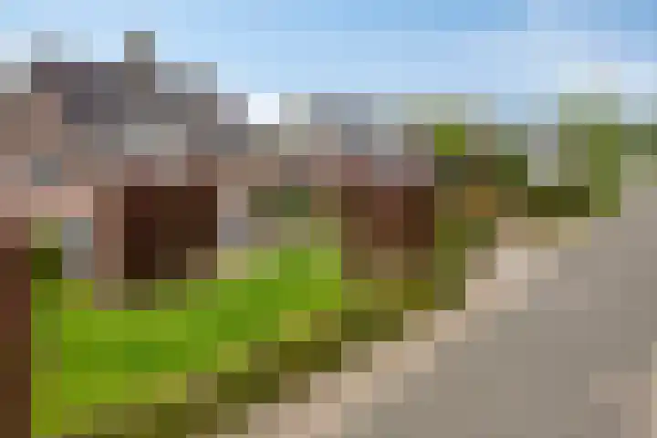 Engstraat 15 Lithoijen thumbnail 43