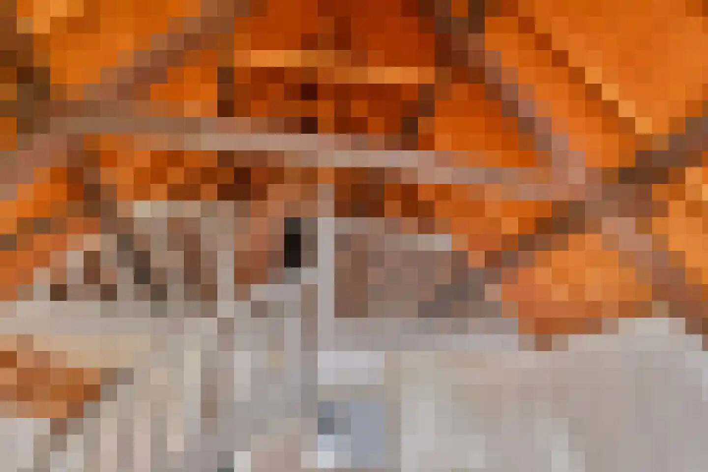 Engstraat 7 Heusden thumbnail 14