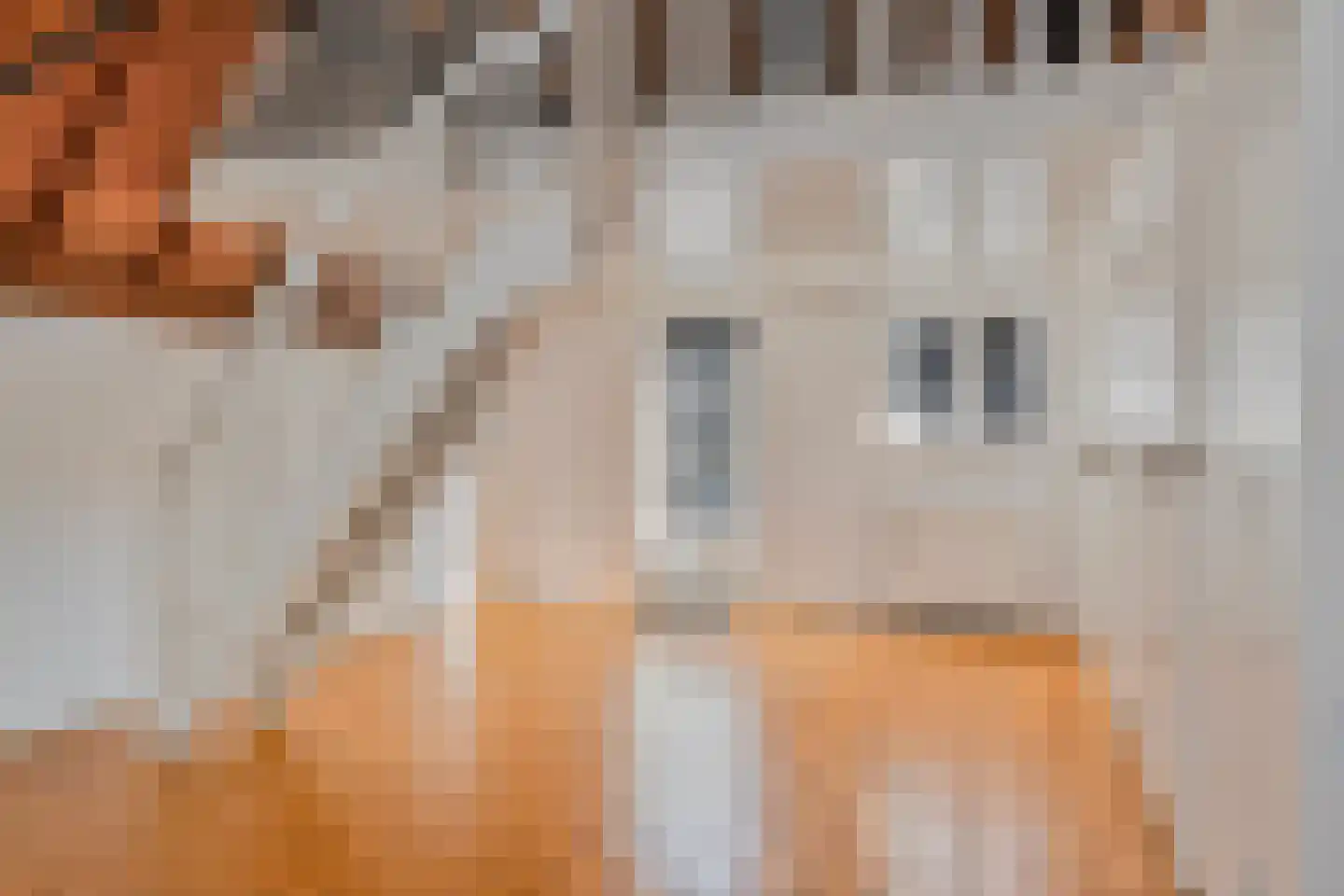 Engstraat 7 Heusden foto 2