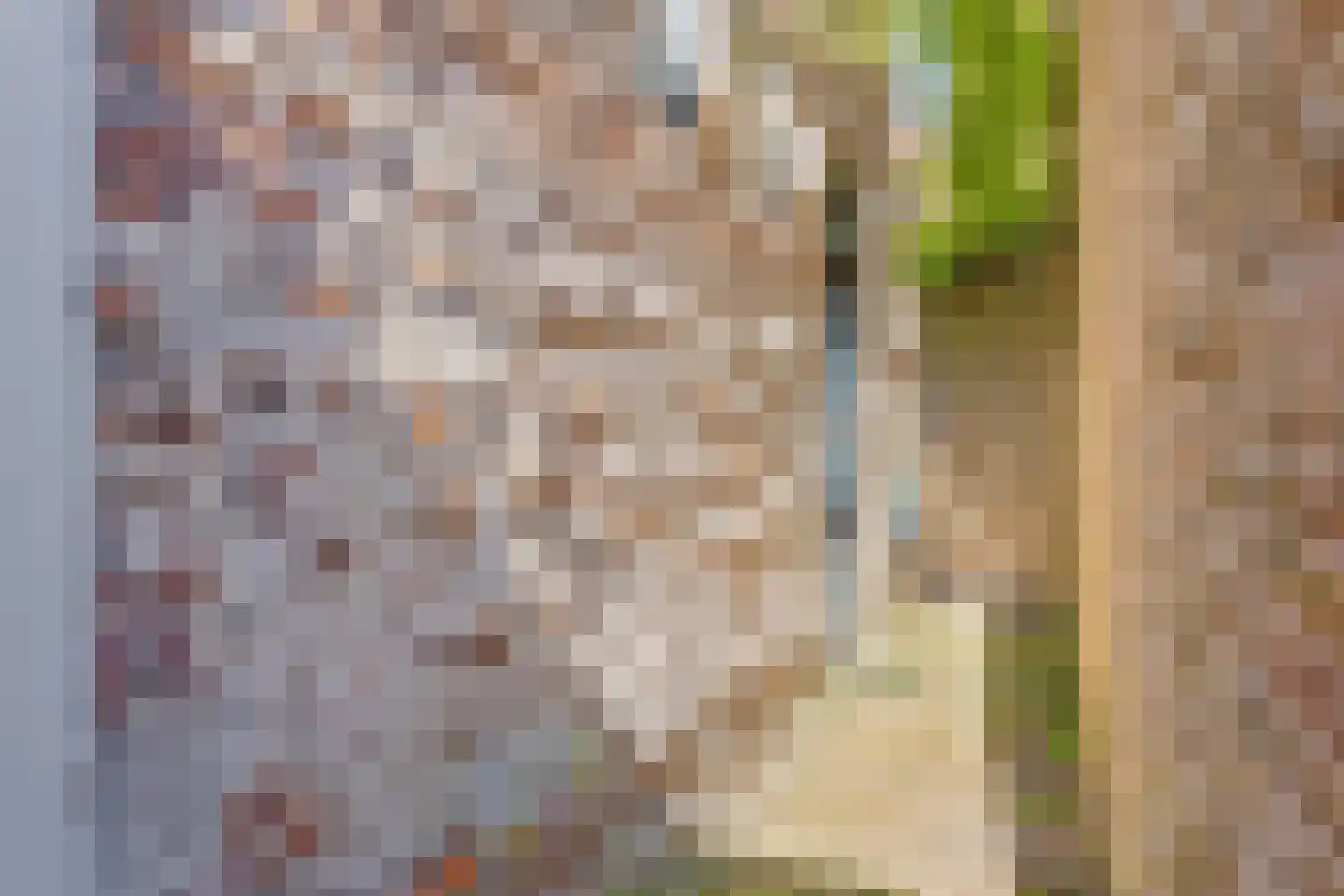 Engstraat 7 Heusden thumbnail 25