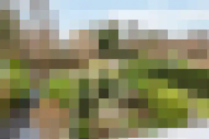 Engstraat 7 Heusden thumbnail 29