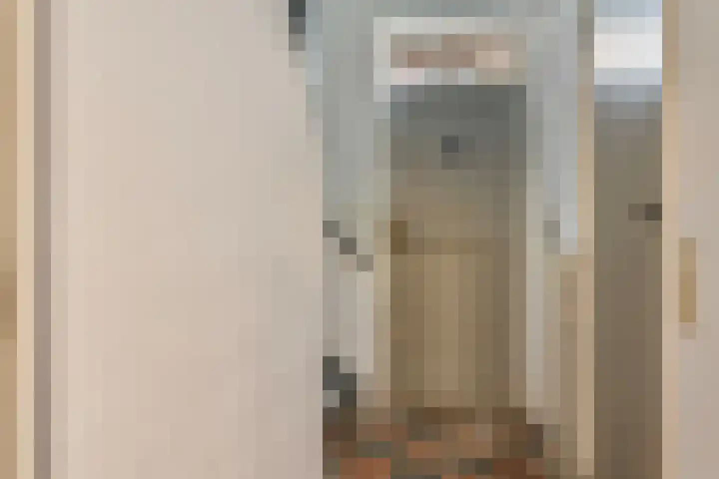 Engstraat 7 Heusden thumbnail 8
