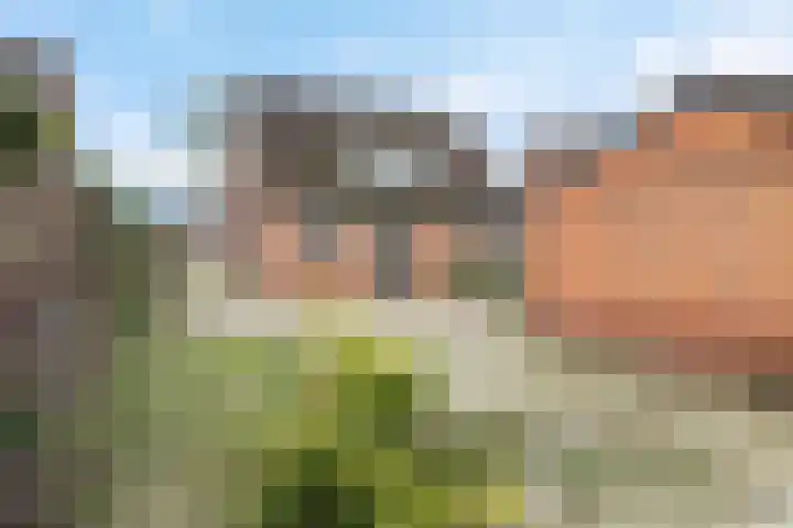 Engweg 100 Klazienaveen thumbnail 17