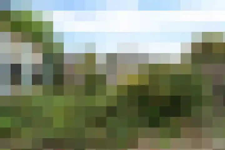 Engweg 100 Klazienaveen thumbnail 18