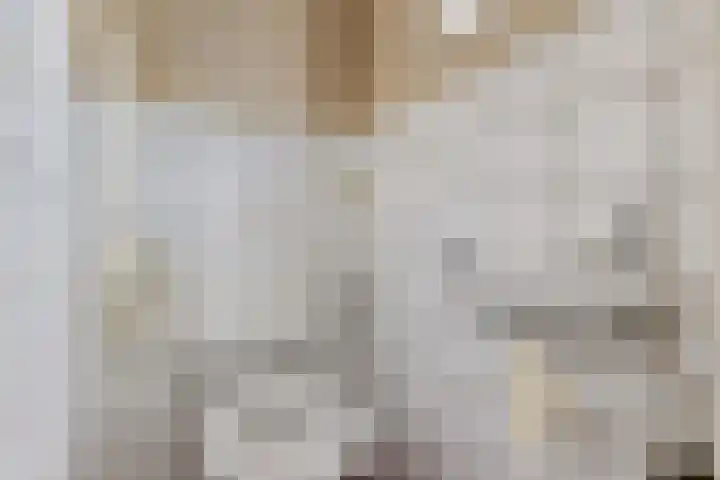 Engweg 100 Klazienaveen thumbnail 4