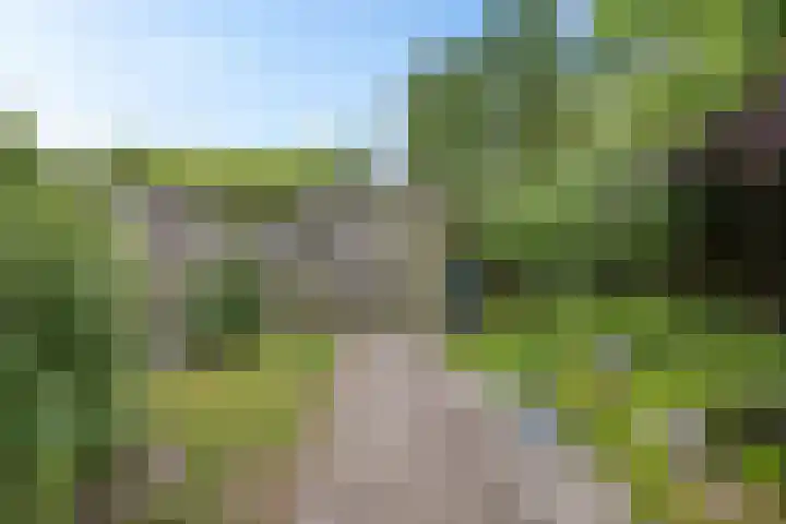 Engweg 101 Klazienaveen thumbnail 30
