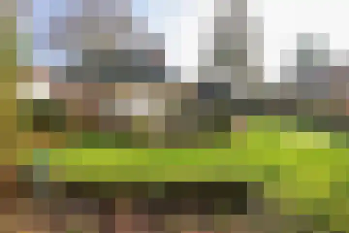 Engweg 2 Lunteren foto 2