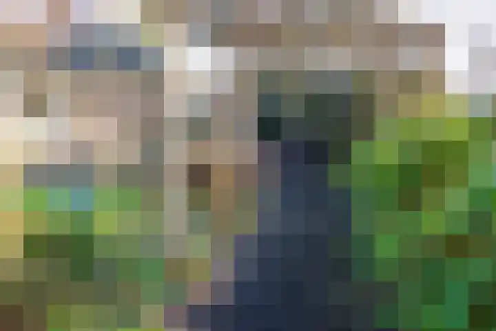 Engweg 2 Lunteren thumbnail 37