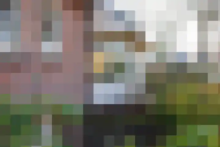 Engweg 2 Lunteren thumbnail 40