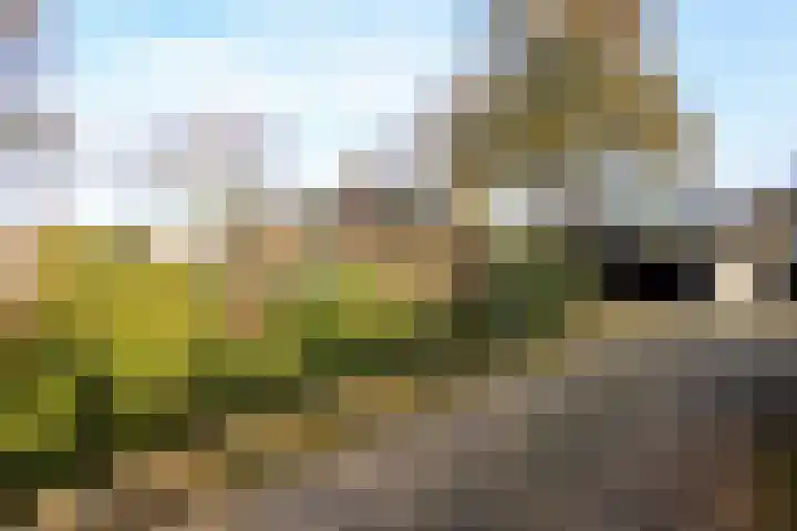 Engweg 2 Lunteren thumbnail 44