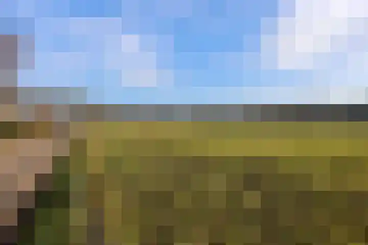 Engweg 2 Lunteren thumbnail 45