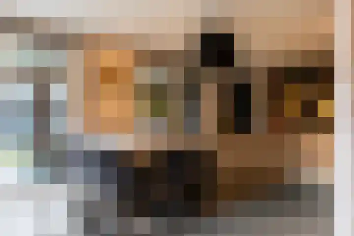 Engweg 2 Lunteren thumbnail 6