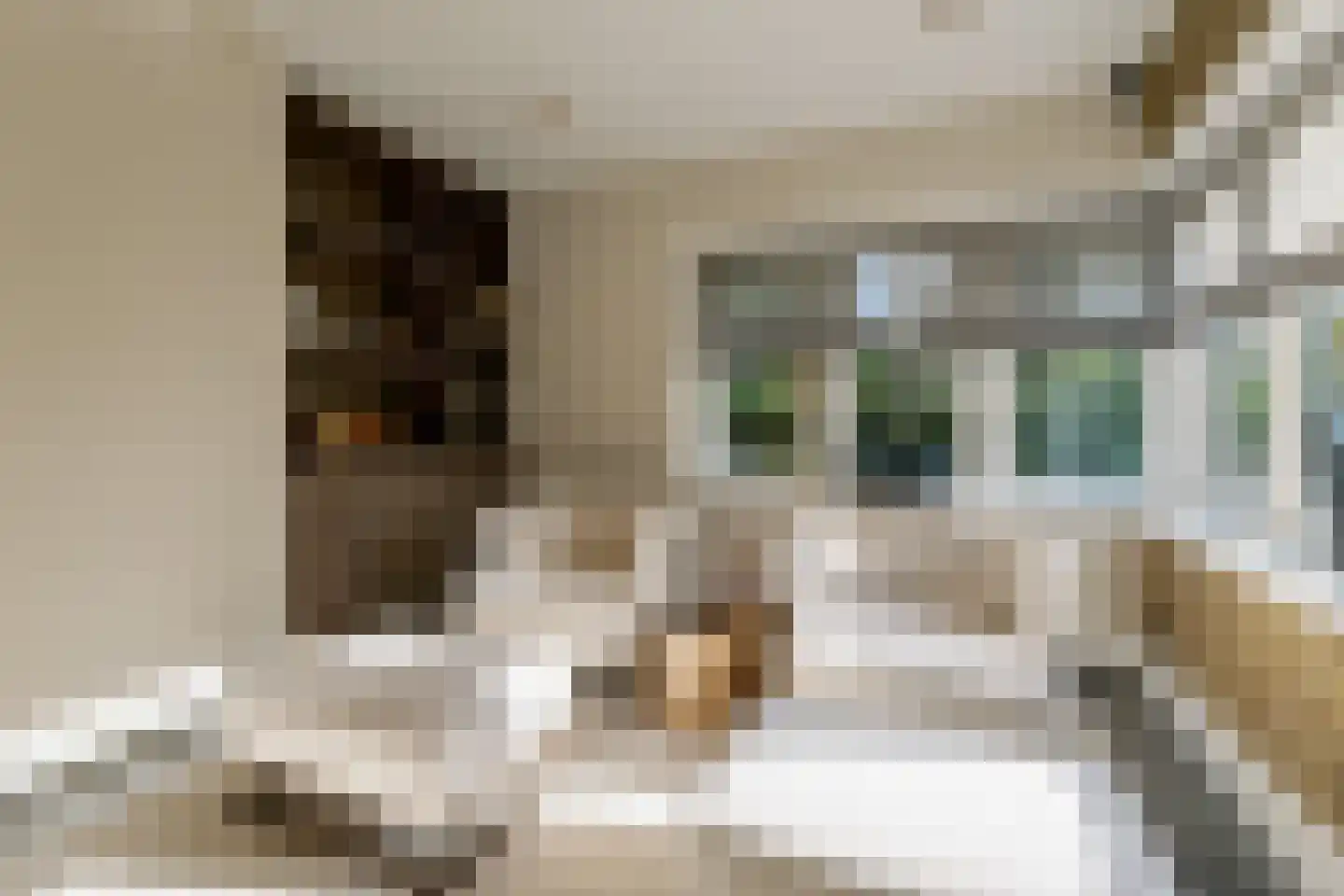 Engweg 22 Laren thumbnail 27