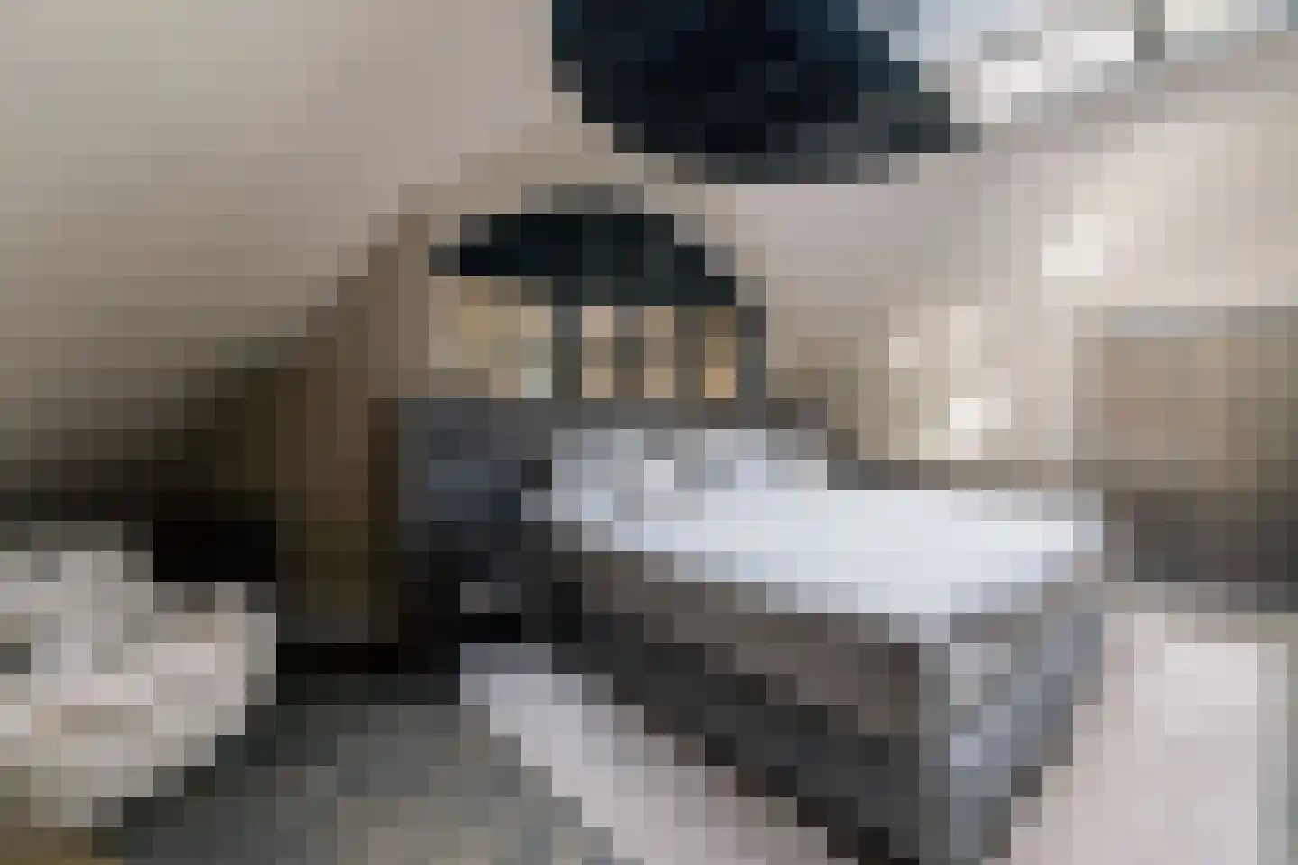 Engweg 22 Laren thumbnail 31