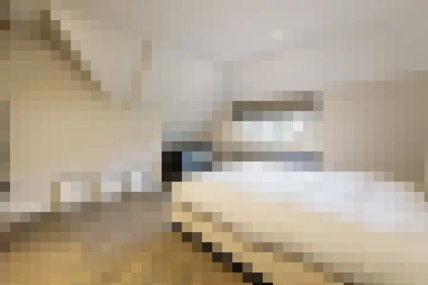 Engweg 22 Laren thumbnail 45